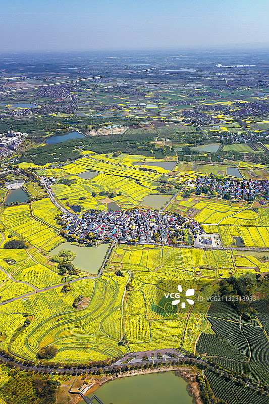 高淳桠溪国际慢城油菜花海无人机航拍图片素材