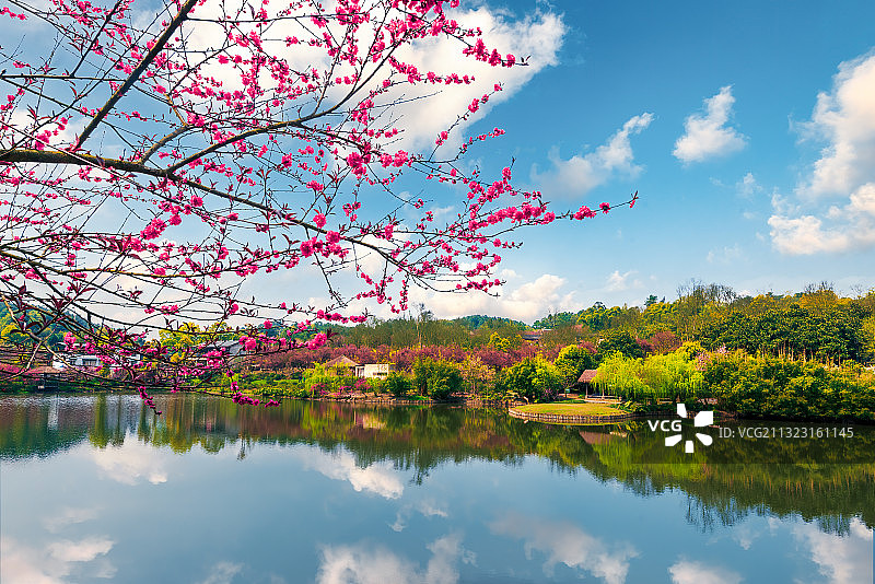 春日阳光下的重庆乡村图片素材