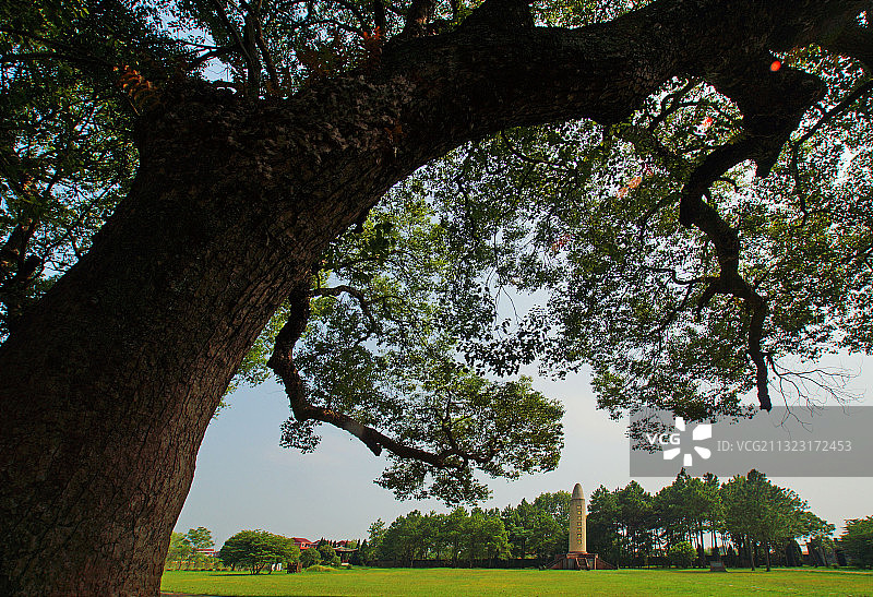 江西瑞金叶坪红军烈士纪念塔图片素材
