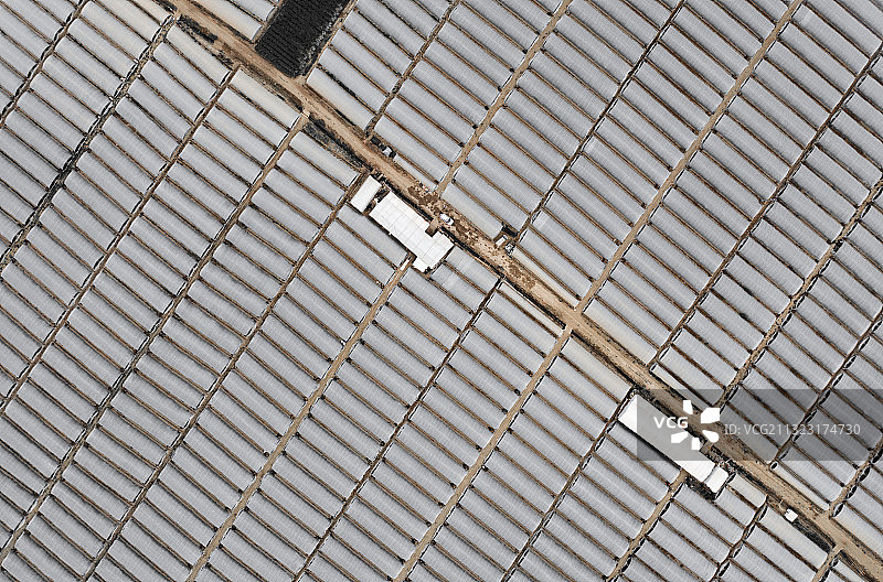 云南大棚西瓜种植基地图片素材