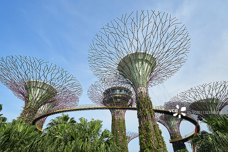 新加坡滨海花园擎天大树图片素材