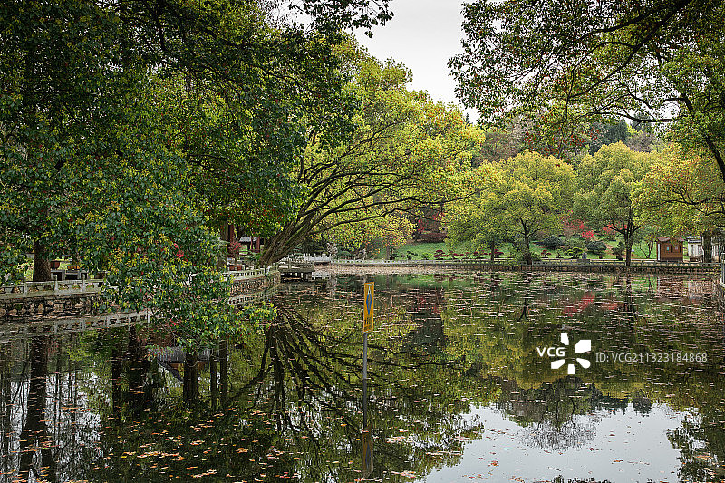 半山荷园 武汉图片素材