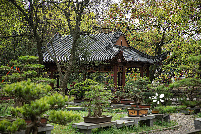 半山荷园 武汉图片素材