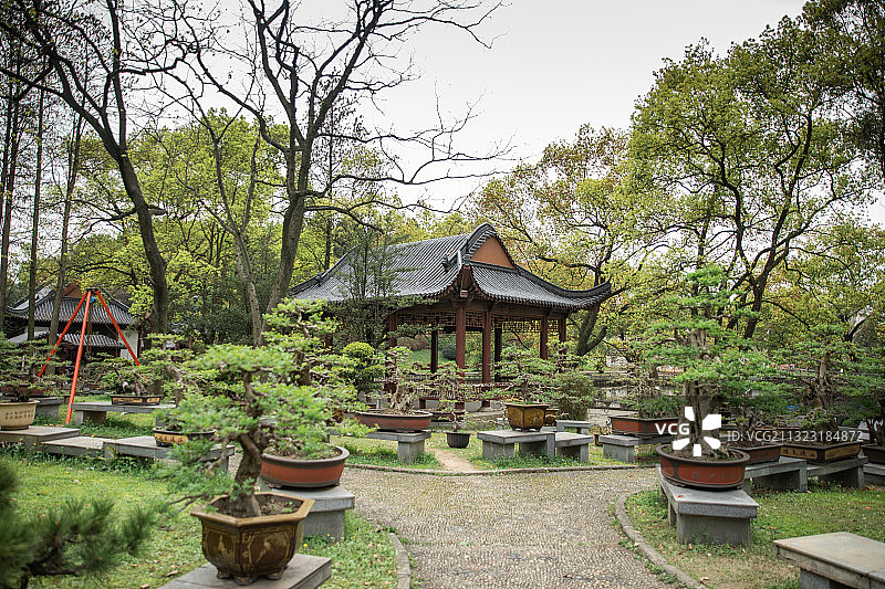 半山荷园 武汉图片素材