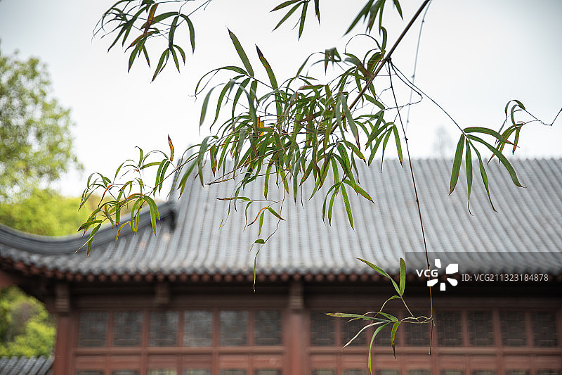 半山荷园 武汉图片素材