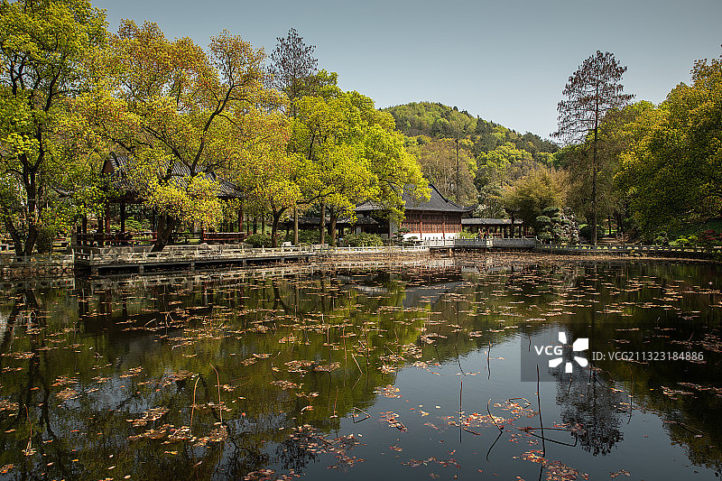 半山荷园 武汉图片素材
