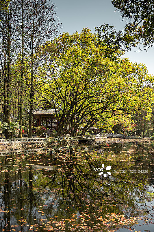 半山荷园 武汉图片素材