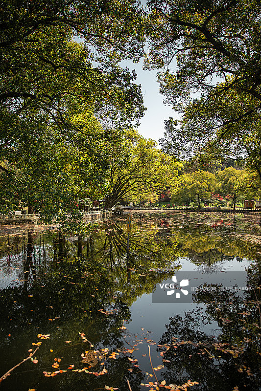 半山荷园 武汉图片素材