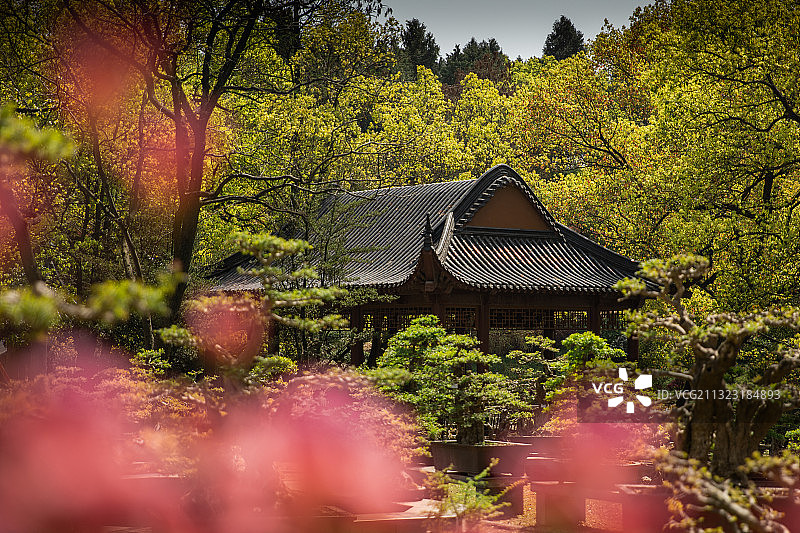 半山荷园 武汉图片素材