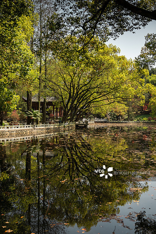 半山荷园 武汉图片素材
