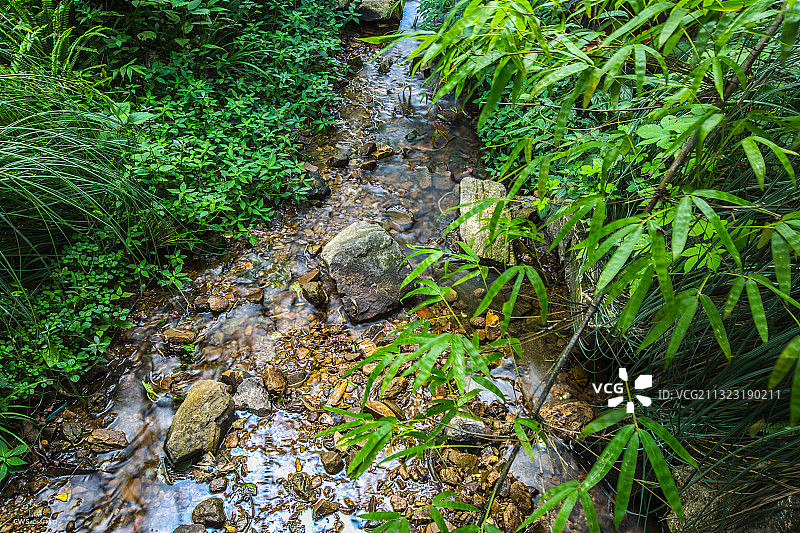 陈文森 贵阳 贵州省贵阳市云岩区黔灵山公园图片素材