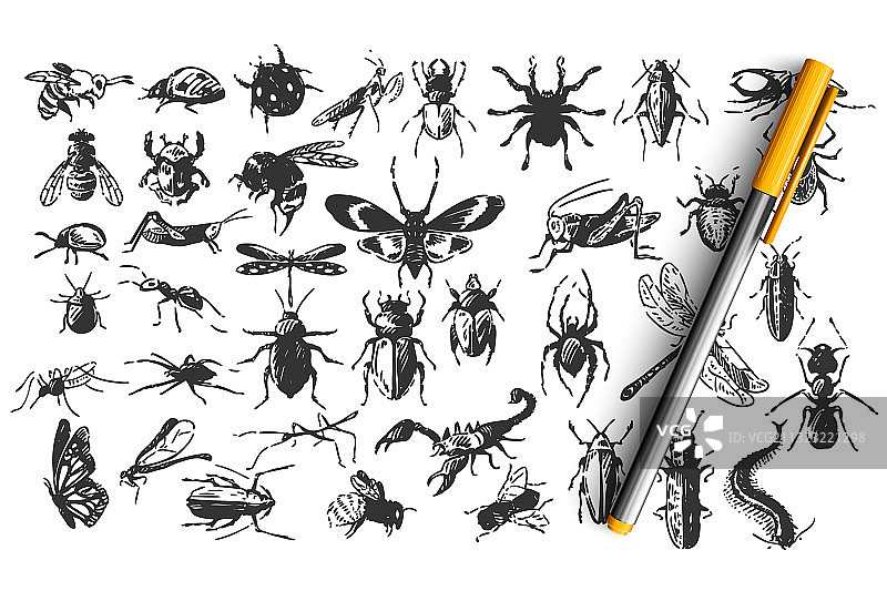 昆虫涂鸦合集图片素材