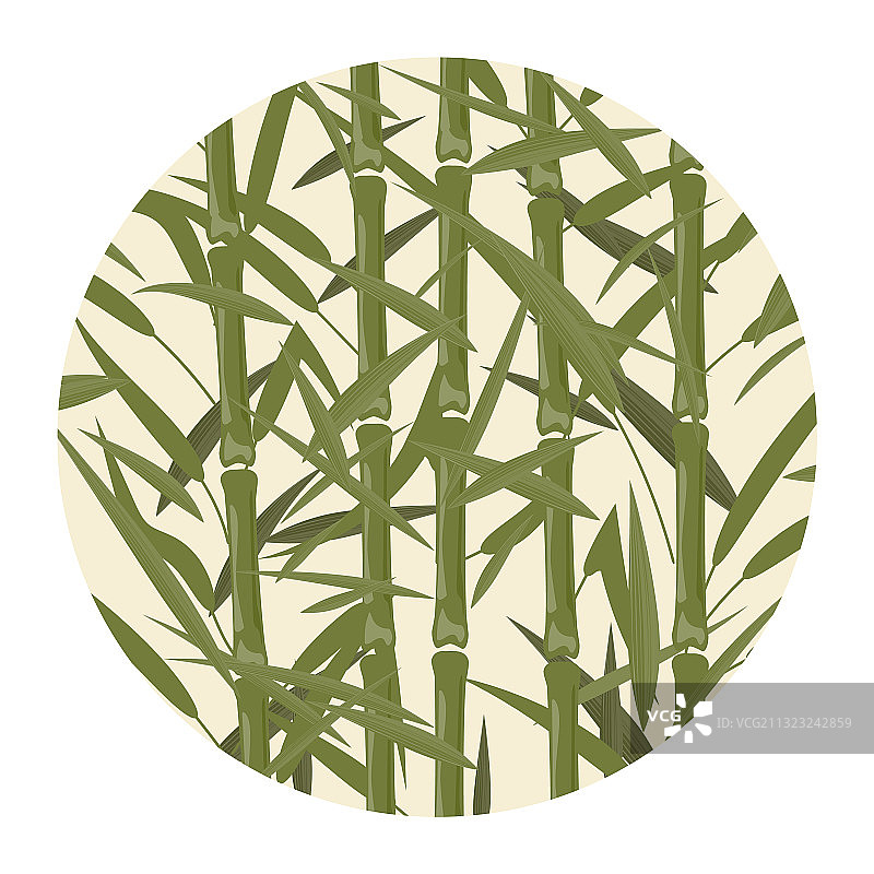 竹林图像图片素材