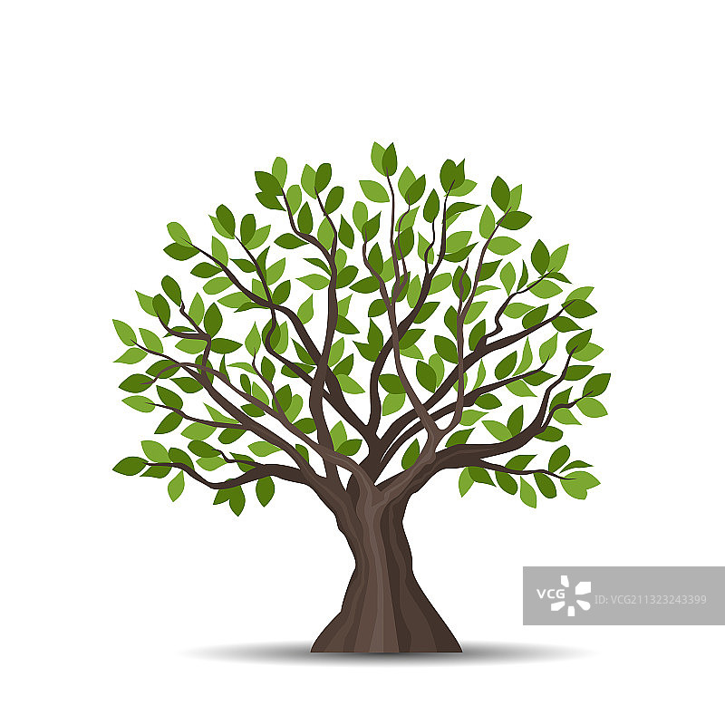 绿叶树木图片素材