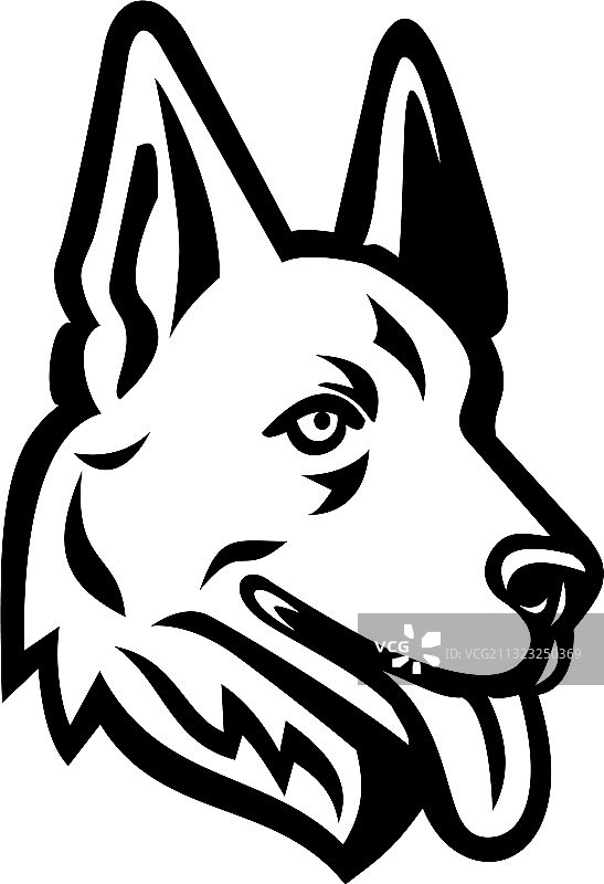 德国牧羊犬或阿尔萨斯狼犬头部图片素材