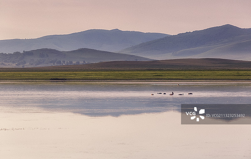 将军泡子的早晨——赤峰市乌兰布统草原图片素材