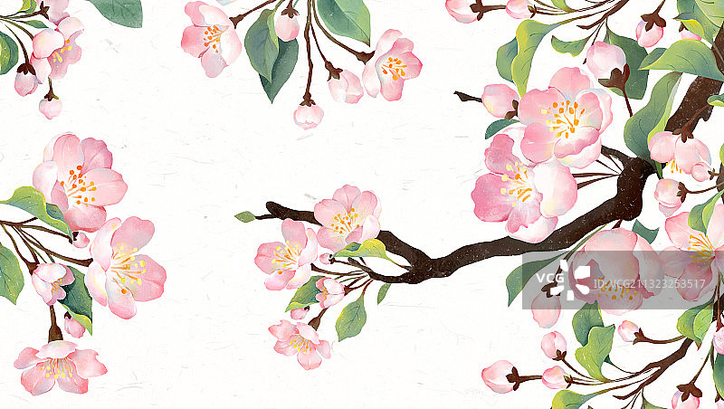 春分节气插画图片素材