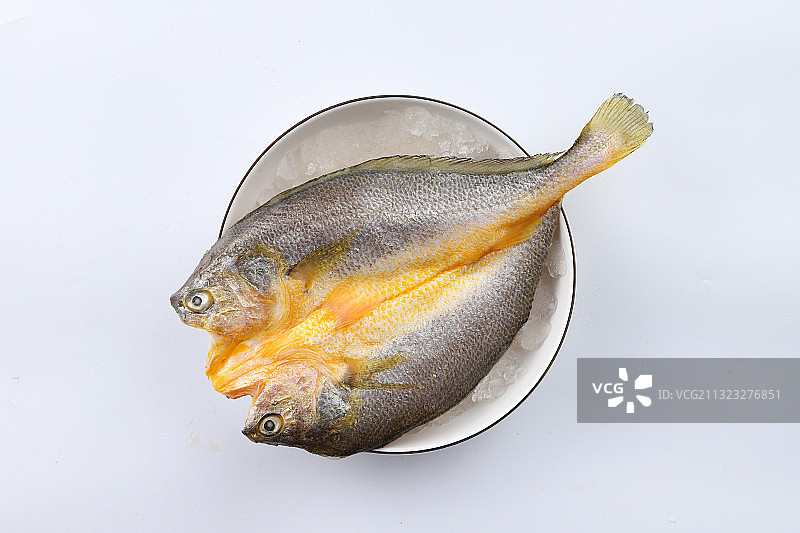 三去大黄鱼 (2)图片素材