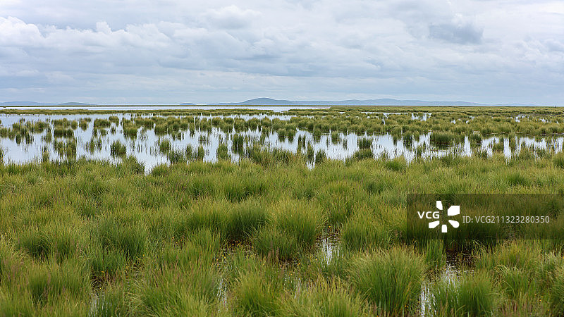 蓝天白云下的花湖图片素材