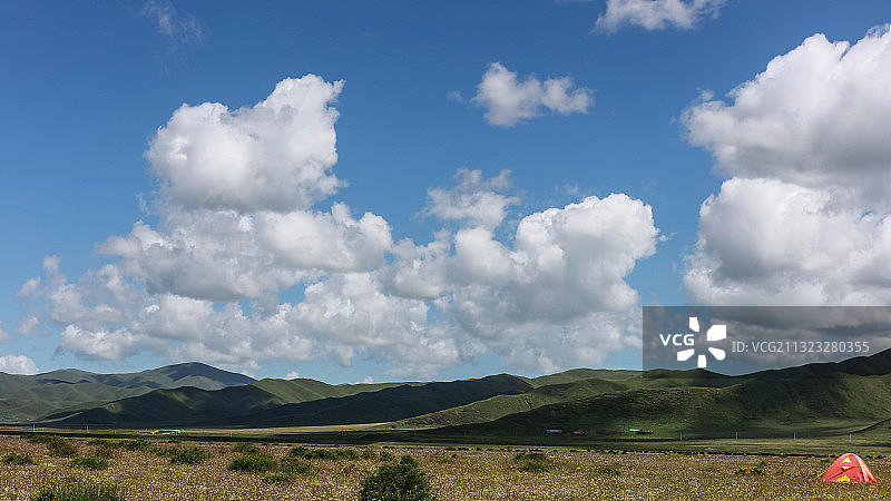 蓝天白云下的诺尔盖大草原图片素材