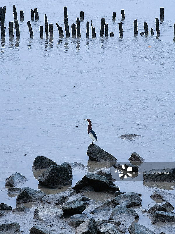 光站在那里盯着海面，是没法穿越海洋的。—— 泰戈尔图片素材