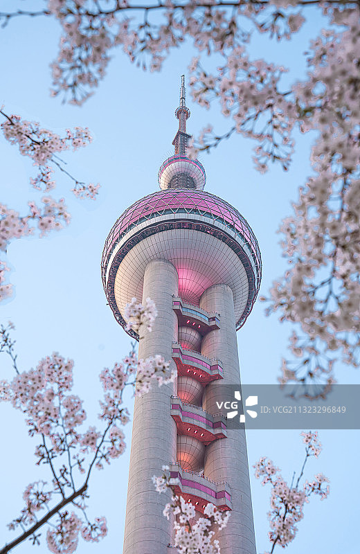 春天的东方明珠图片素材