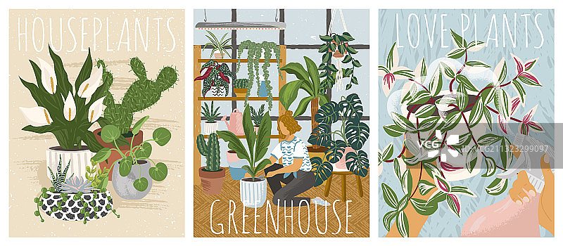 家居盆栽图片素材