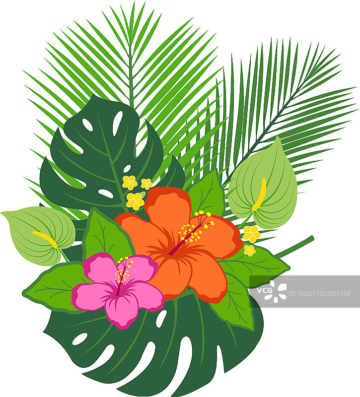 热带植物和花卉图片素材