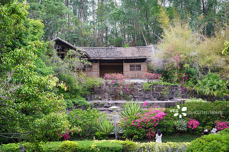 不入园林，怎知春色如许图片素材