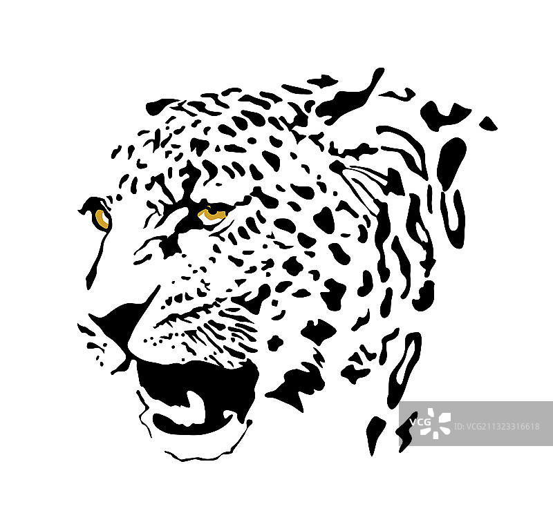 绘画斑点豹图片素材