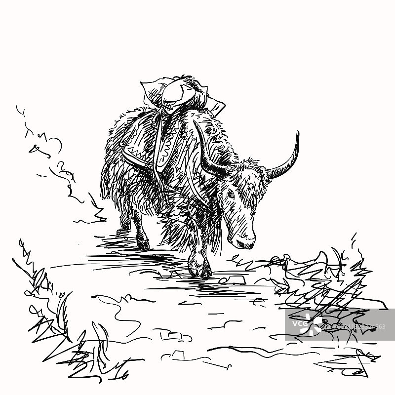 喜马拉雅山脉的牦牛货运手绘草图图片素材