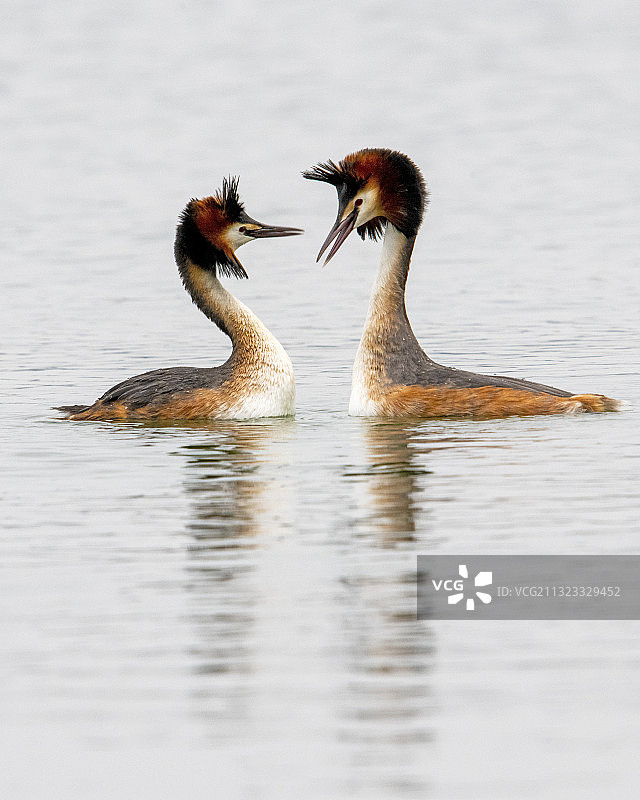 热恋情怀图片素材