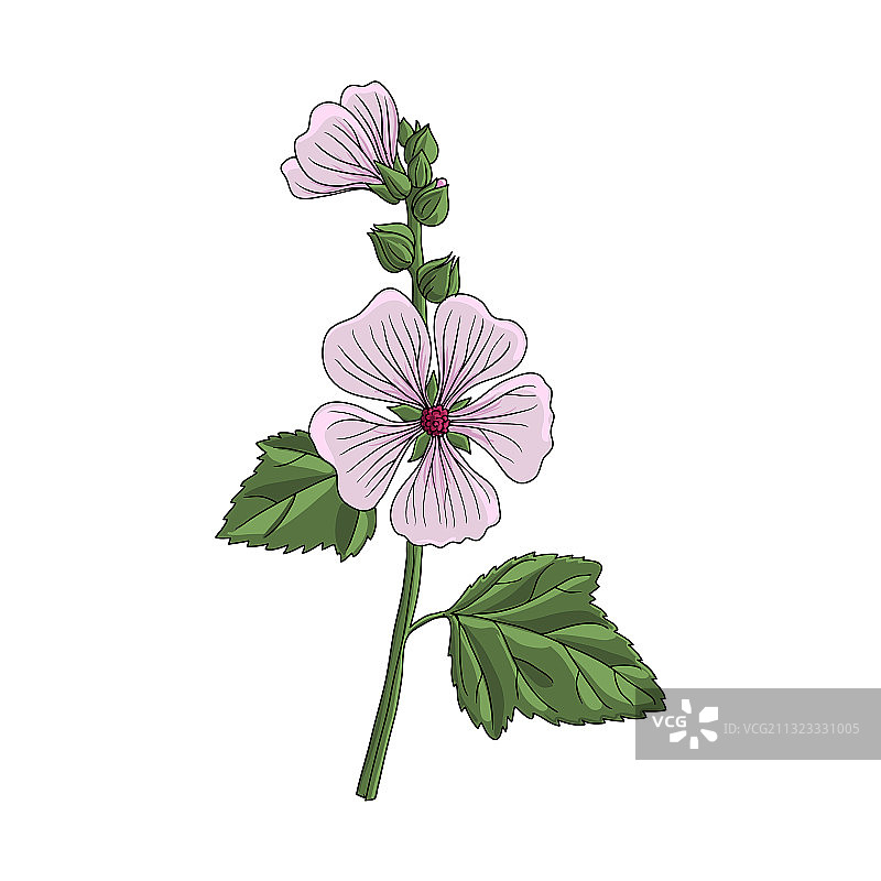 棉花糖图片素材