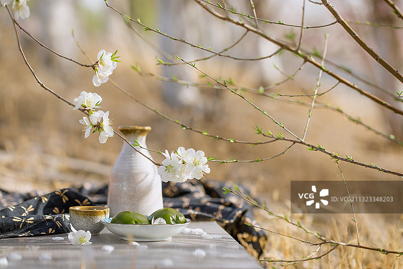 春天,踏青,青团,桃花图片素材