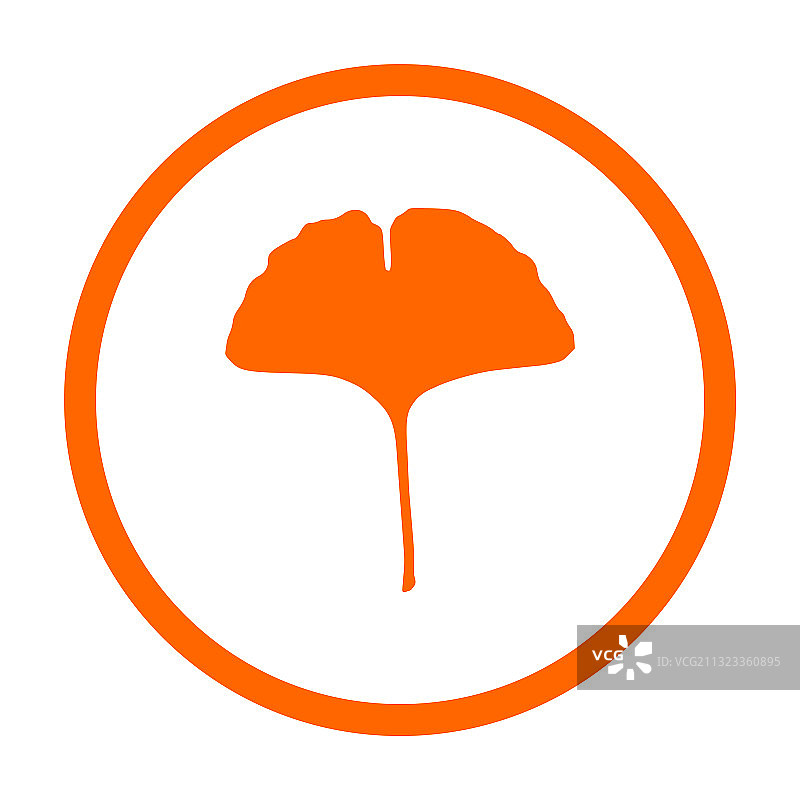 银杏叶和圆形图片素材