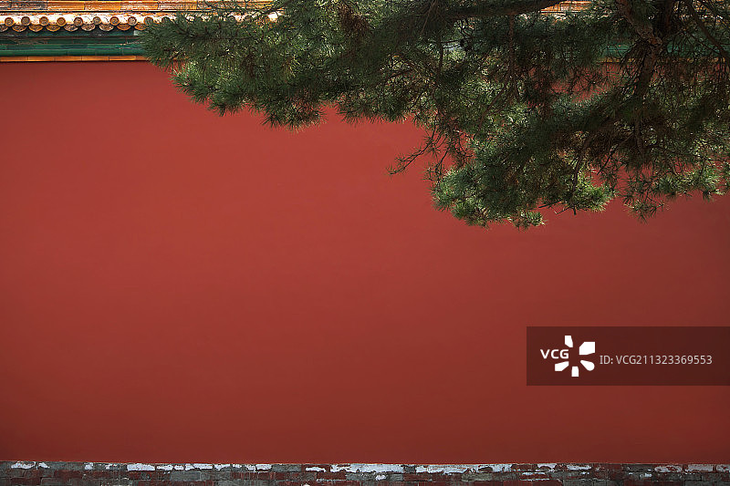 故宫,红墙,松树,中国文化图片素材