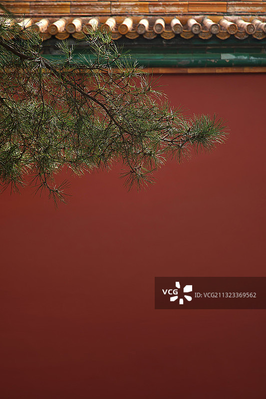 故宫,红墙,松树,中国文化图片素材