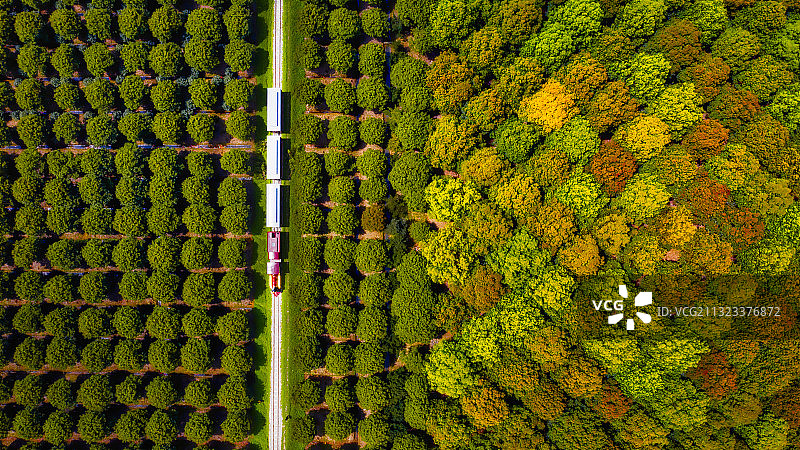 滕头村图片素材