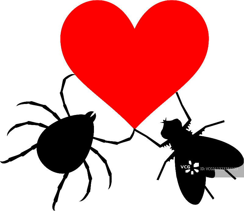 昆虫爱图片素材