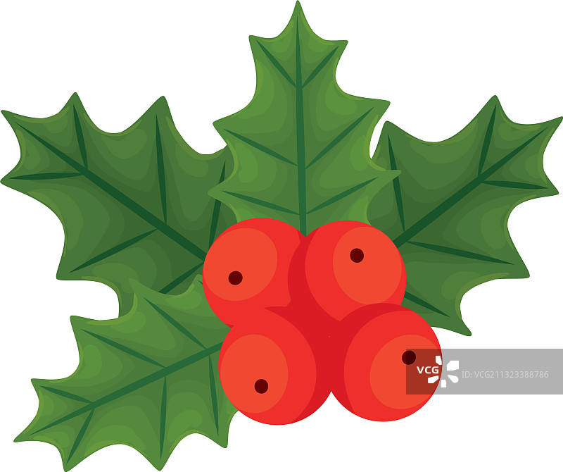 带树叶设计的圣诞浆果图片素材