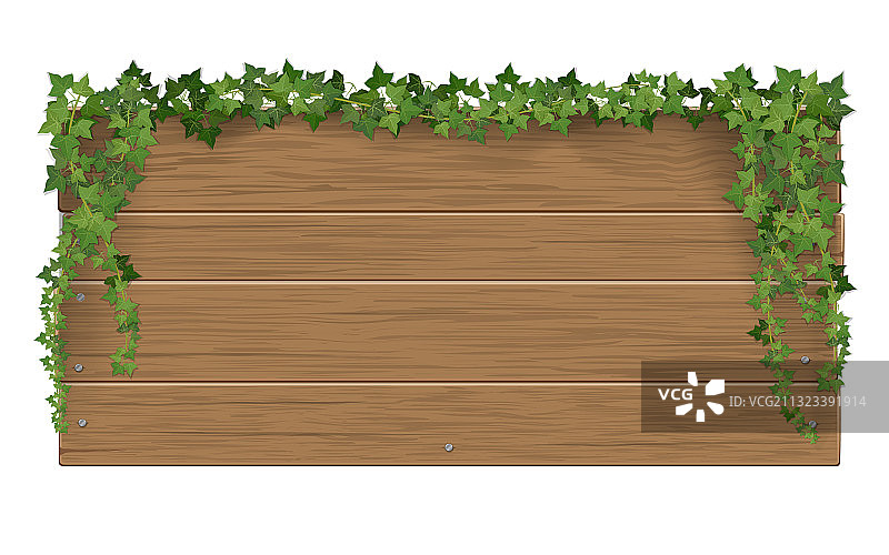覆盖着常春藤的木制路标图片素材