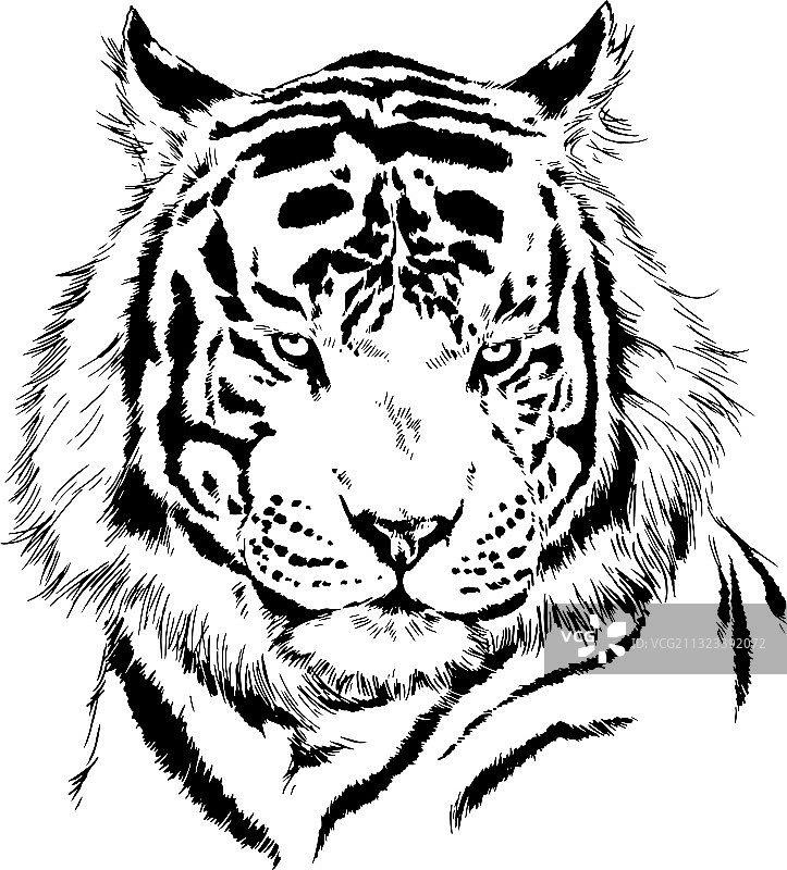 手绘墨水风老虎图片素材
