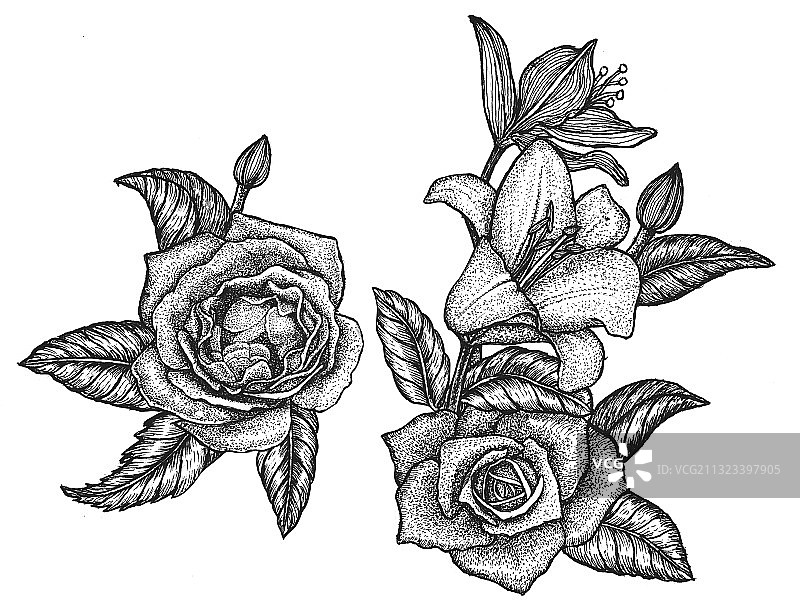 黑白装饰画素描花图片素材