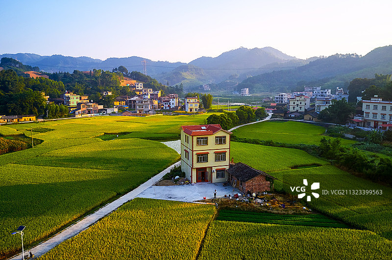 今日新农村图片素材