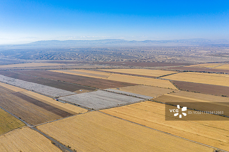 新疆棉花航拍图片素材