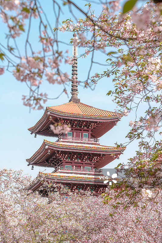 樱花园图片素材