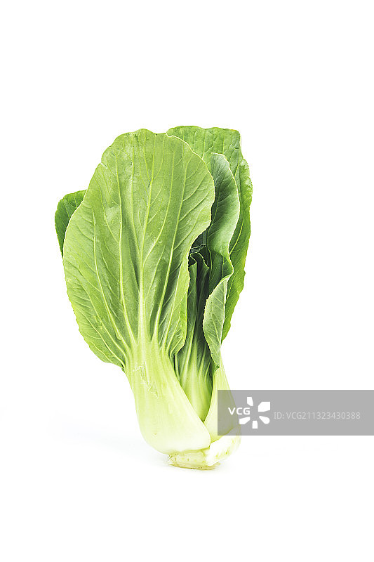 新鲜玉菜图片素材