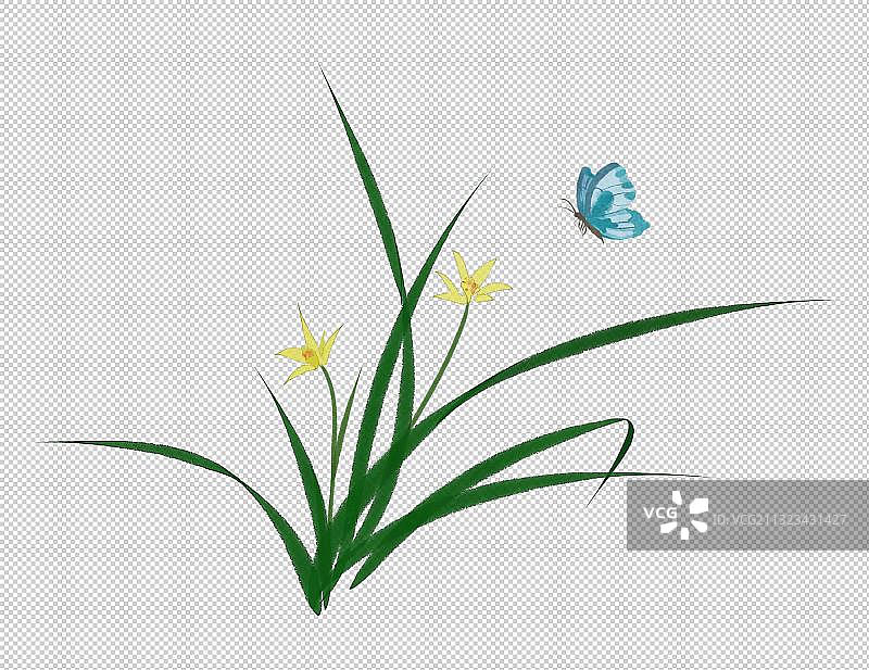 兰花素材图片素材