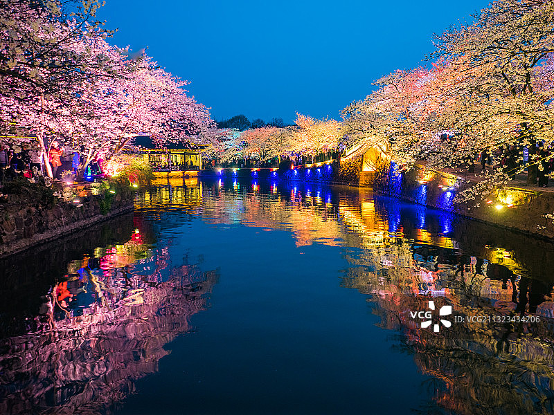 中国江苏省无锡市太湖鼋头渚风景区樱花谷夜樱图片素材
