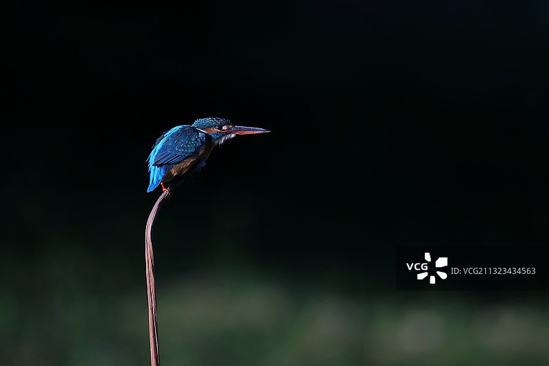 蓄势待发图片素材